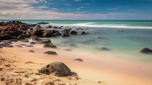 Depositphotos_201101678_XL