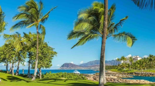 Depositphotos_35353473_XL