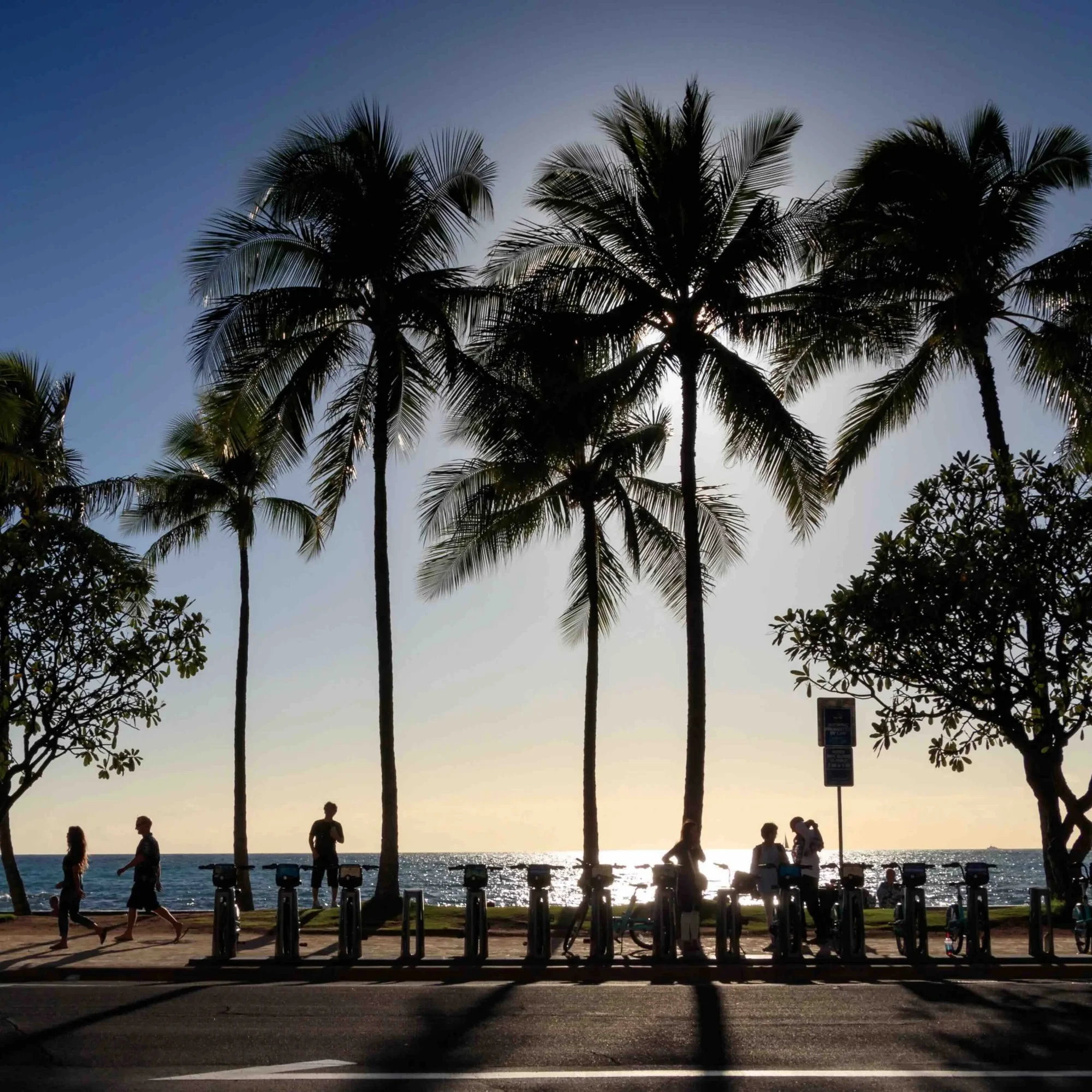 Kalakaua ave