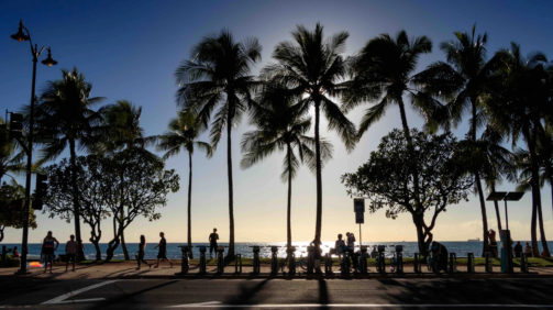 Kalakaua ave