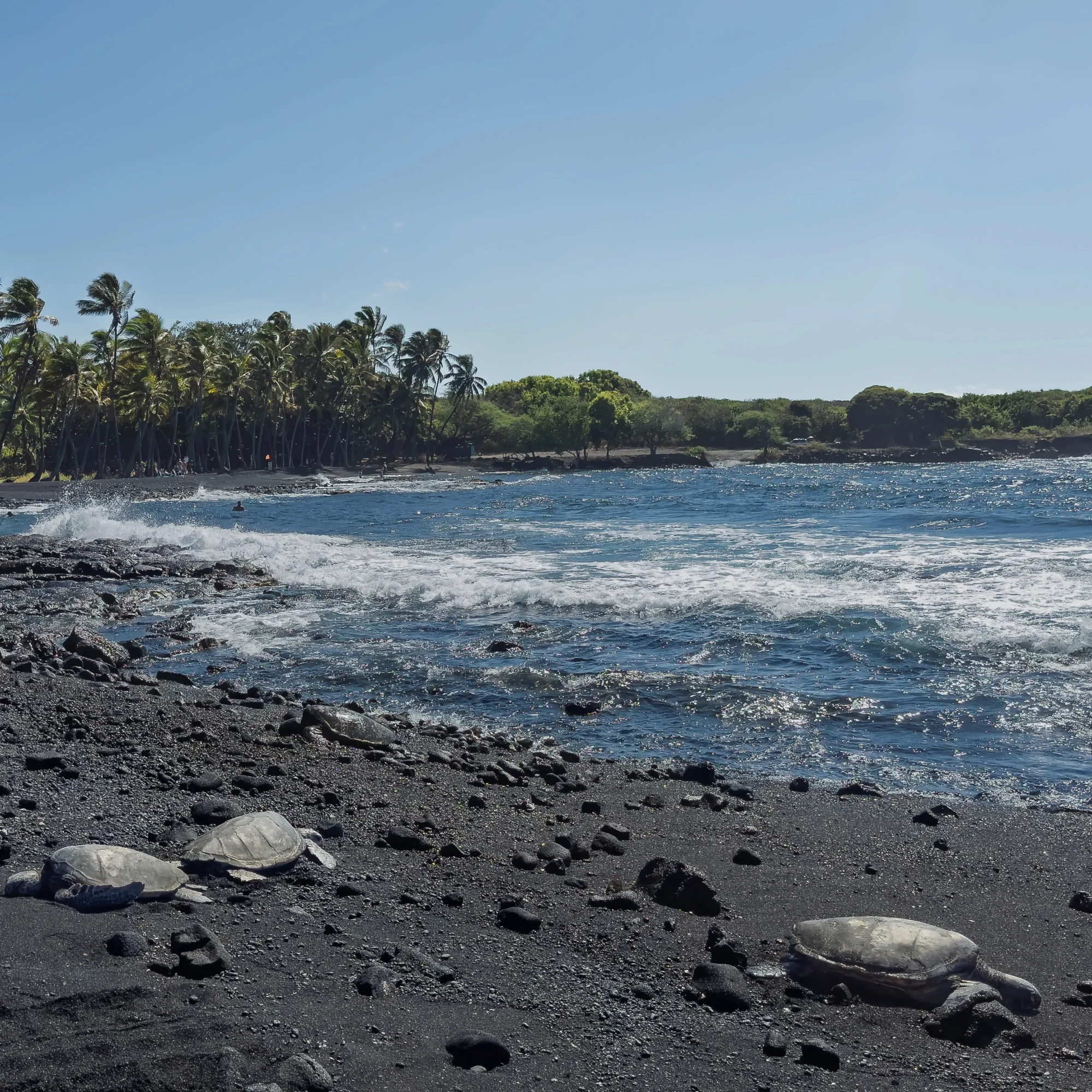 Punaluʻu black sand beach park