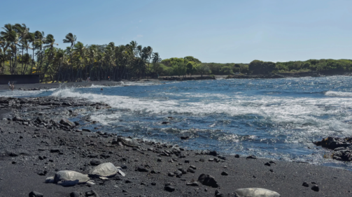 Punaluʻu black sand beach park
