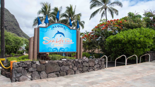 Sea life park